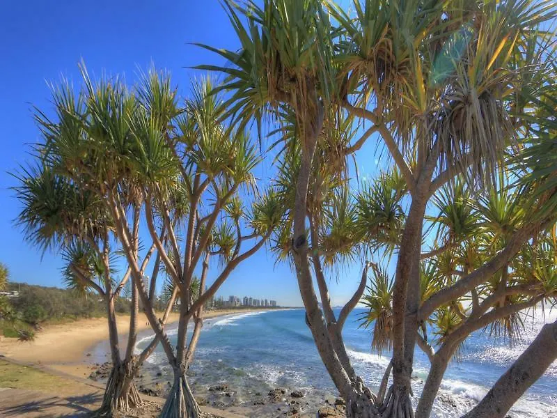 Alex Beach Cabins And Tourist Park Alexandra Headland Holiday park