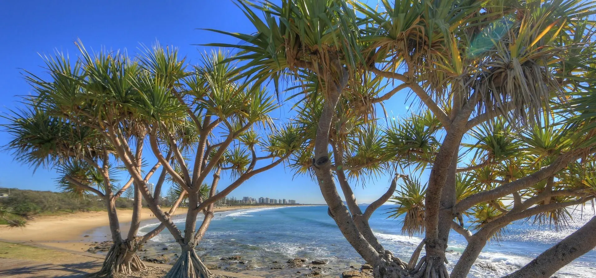 Holiday park Alex Beach Cabins And Tourist Park Alexandra Headland